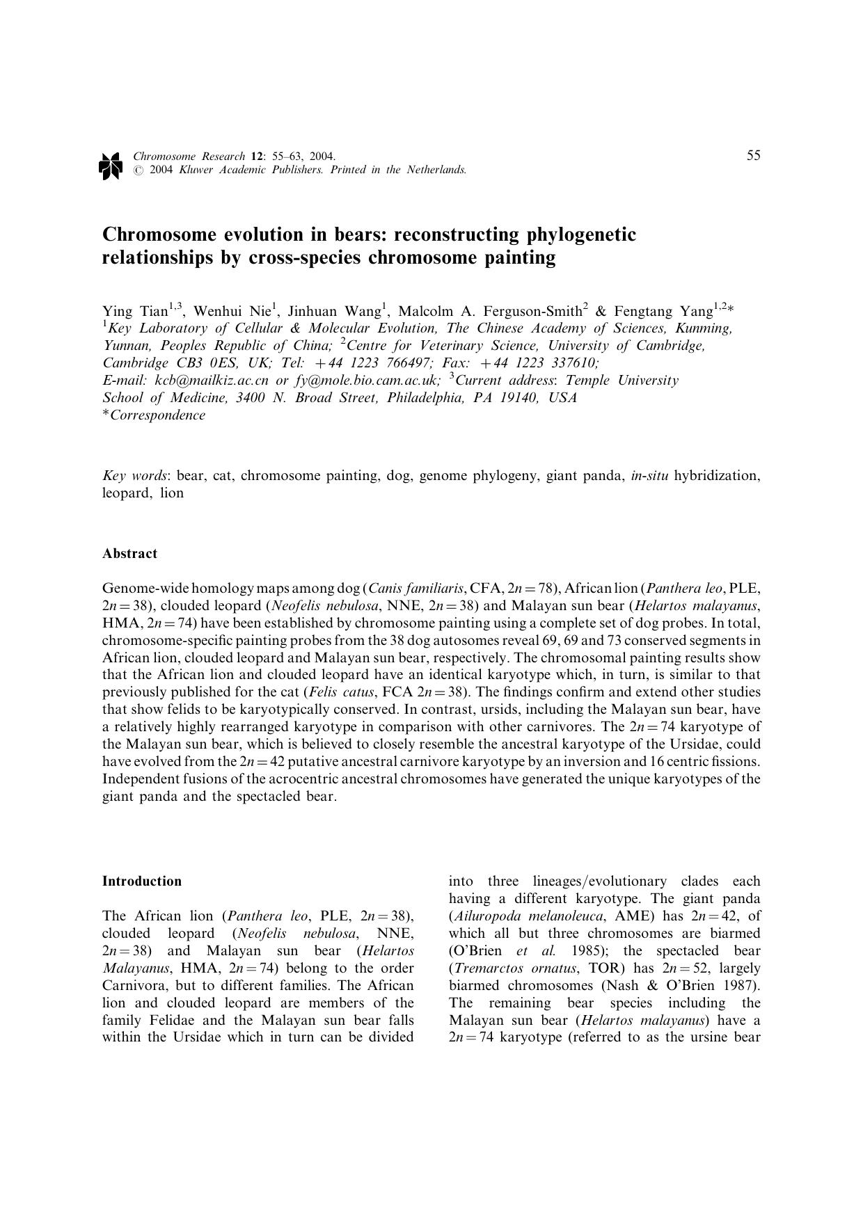 Chromosome evolution in bears: reconstructing phylogenetic relationships by cross-species chromosome painting by Unknown