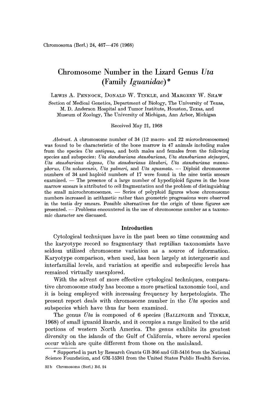 Chromosome number in the lizard genus <Emphasis Type="Italic">Uta<Emphasis> (family <Emphasis Type="Italic">Iguanidae<Emphasis>) by Unknown