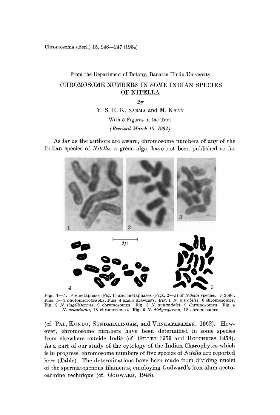 Chromosome numbers in some Indian species of Nitella by Unknown