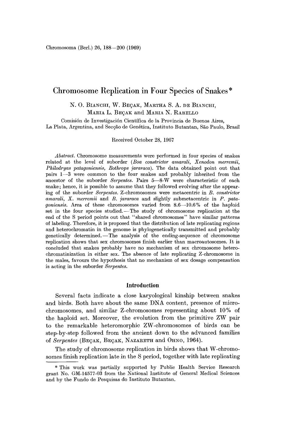 Chromosome replication in four species of snakes by Unknown