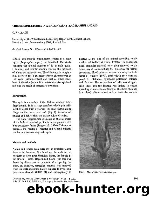 Chromosome studies in a male nyala (tragelaphus angasi) by Unknown