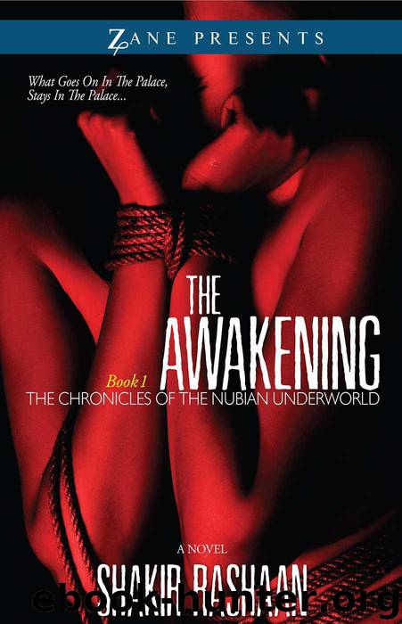 Chronicles of the Nubian Underworld 1: The Awakening by Shakir Rashaan