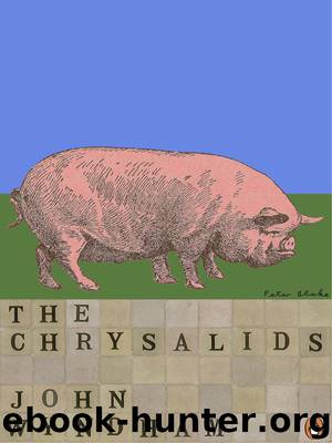 Chrysalids, The by Wyndham John