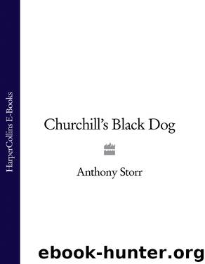 Churchill's Black Dog by Anthony Storr