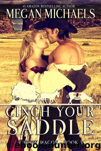 Cinch Your Saddle (The Widow Wagon Book 3) by Megan Michaels