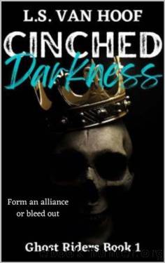 Cinched Darkness by L.S. Van Hoof