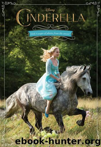 Cinderella Junior Novel by Disney Book Group