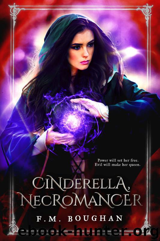 Cinderella Necromancer by F.M. Boughan