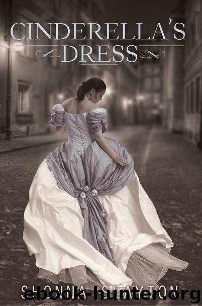 Cinderella's Dress by Shonna Slayton