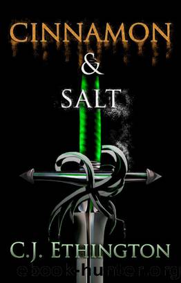 Cinnamon and Salt, Sentinels Book 1 by C.j. Ethington