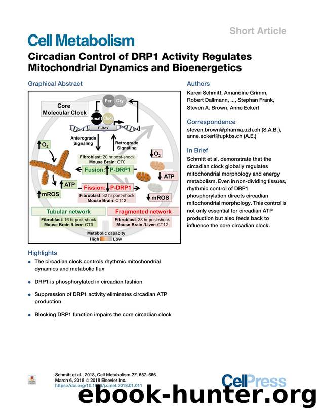 Circadian Control of DRP1 Activity Regulates Mitochondrial Dynamics and Bioenergetics by unknow