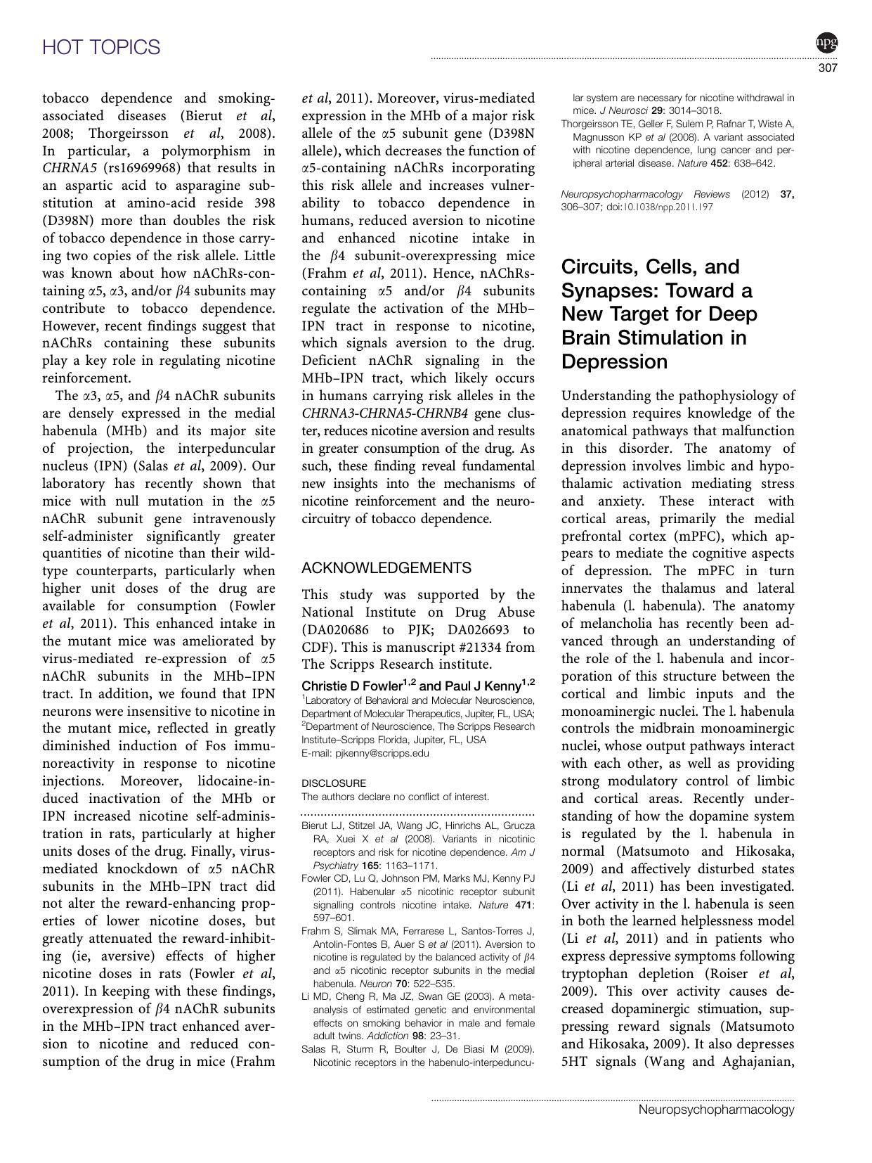 Circuits, Cells, and Synapses: Toward a New Target for Deep Brain Stimulation in Depression by Fritz A Henn