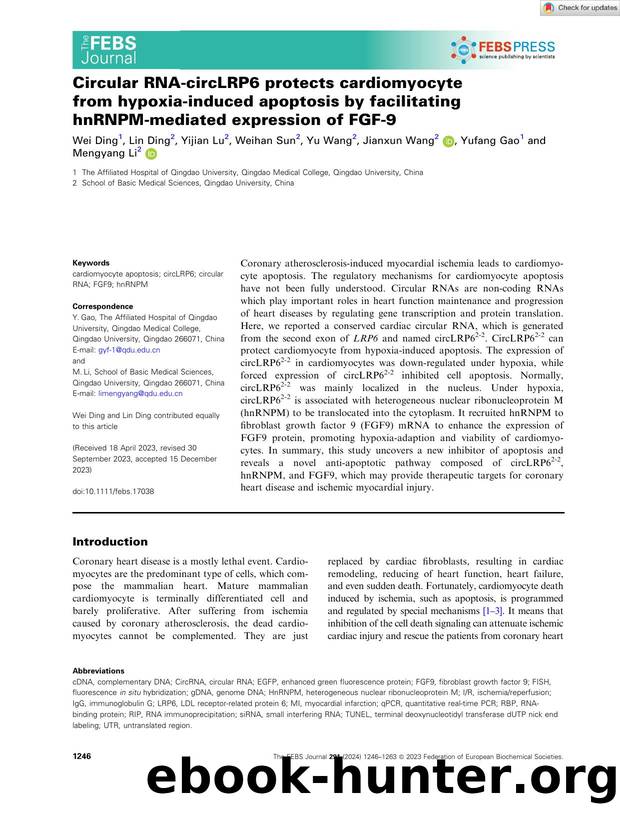 Circular RNAâcircLRP6 protects cardiomyocyte fromÂ hypoxiaâinduced apoptosis by facilitating hnRNPMâmediated expression of FGFâ9 by Unknown