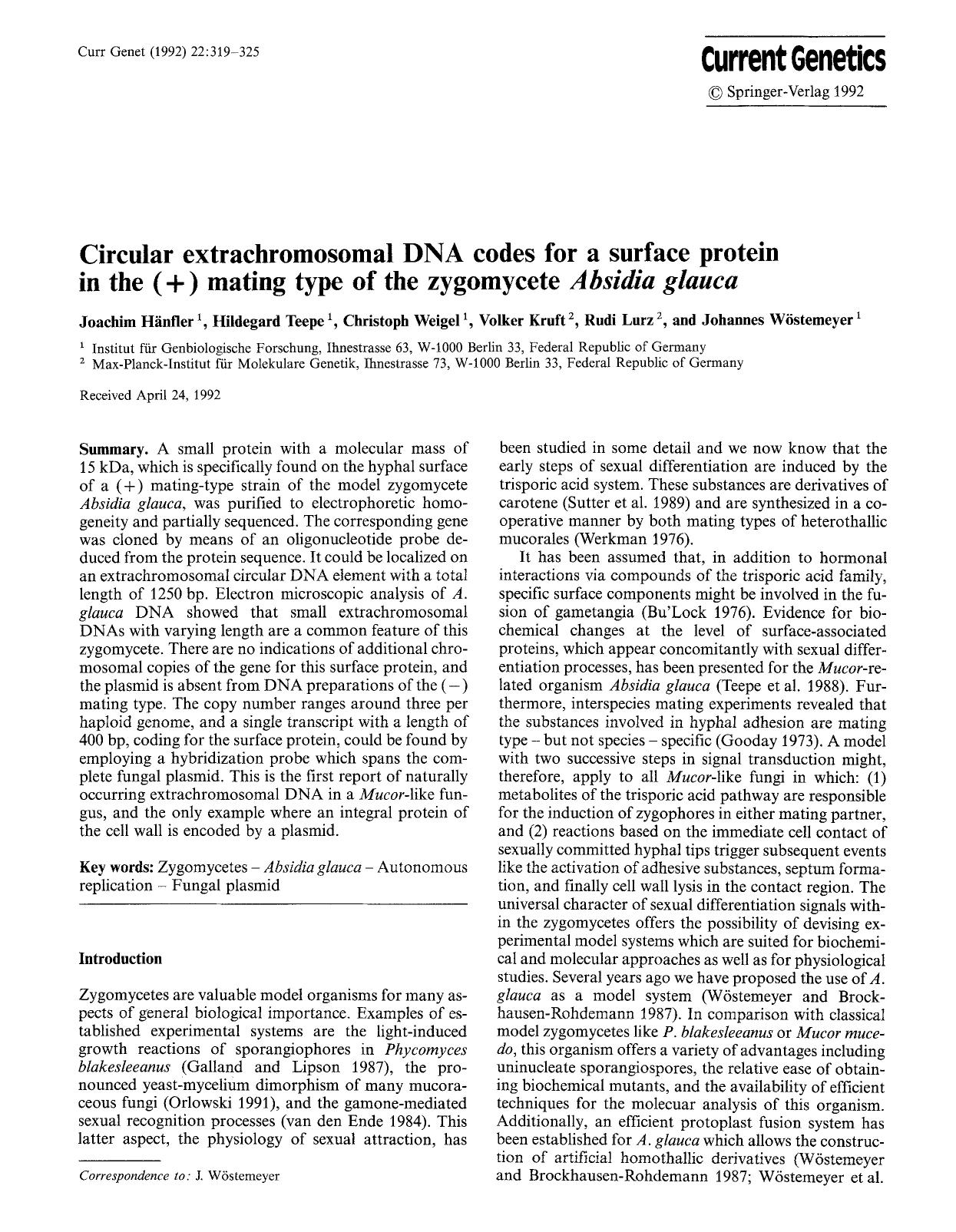 Circular extrachromosomal DNA codes for a surface protein in the (+) mating type of the zygomycete <Emphasis Type="Italic">Absidia glauca<Emphasis> by Unknown