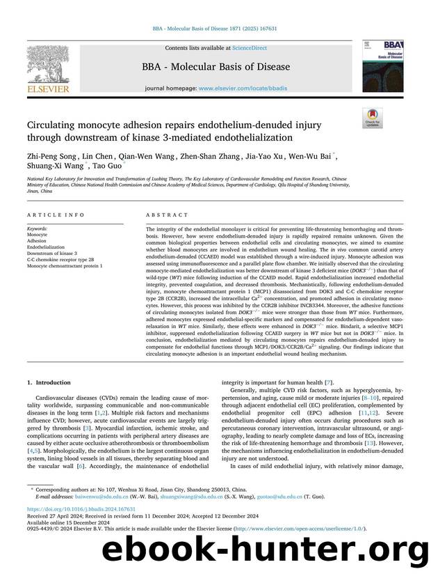 Circulating monocyte adhesion repairs endothelium-denuded injury through downstream of kinase 3-mediated endothelialization by unknow