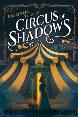 Circus of Shadows by Kimberlee Turley