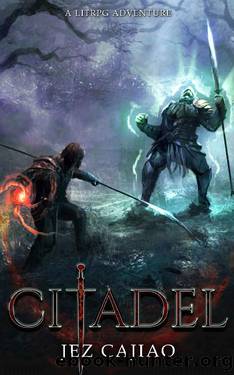 Citadel : A LitRPG Adventure (UnderVerse Book 5) by Jez Cajiao