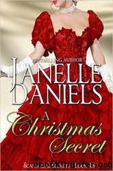 Citit - A Christmas Secret by Janelle Daniels