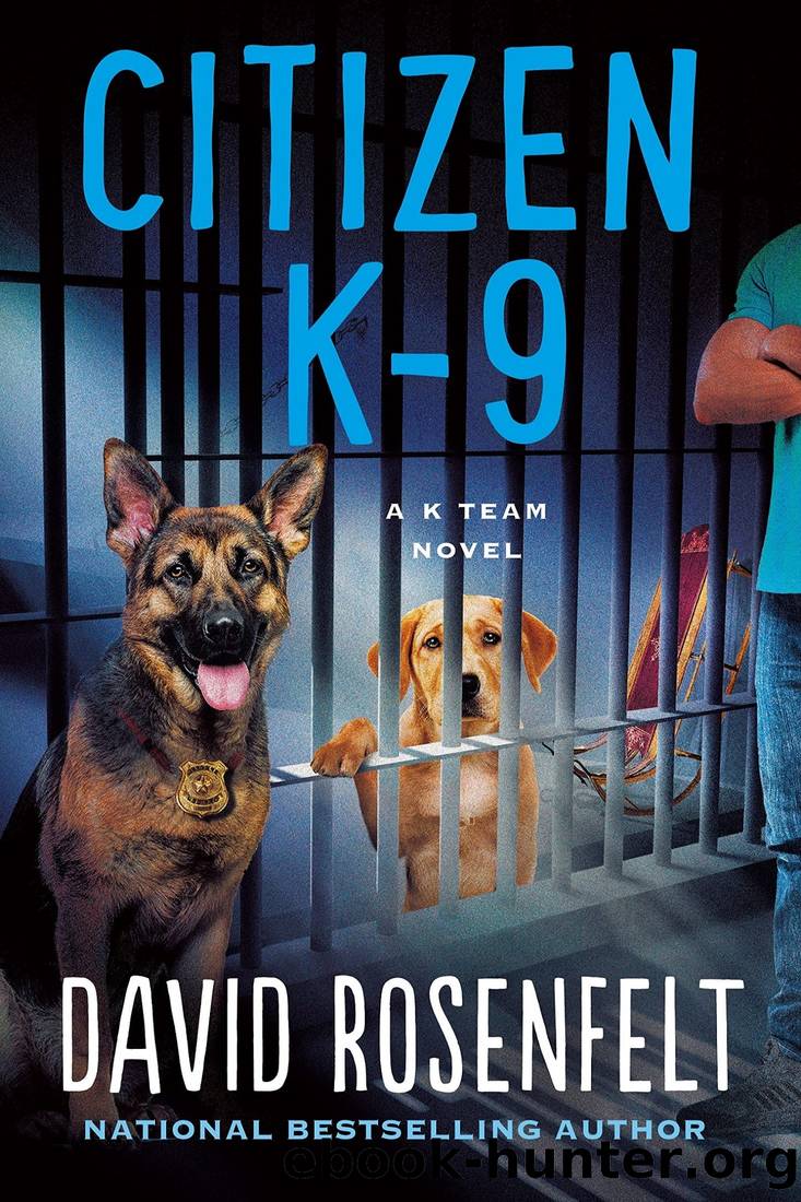 Citizen K-9: A K Team Novel by David Rosenfelt