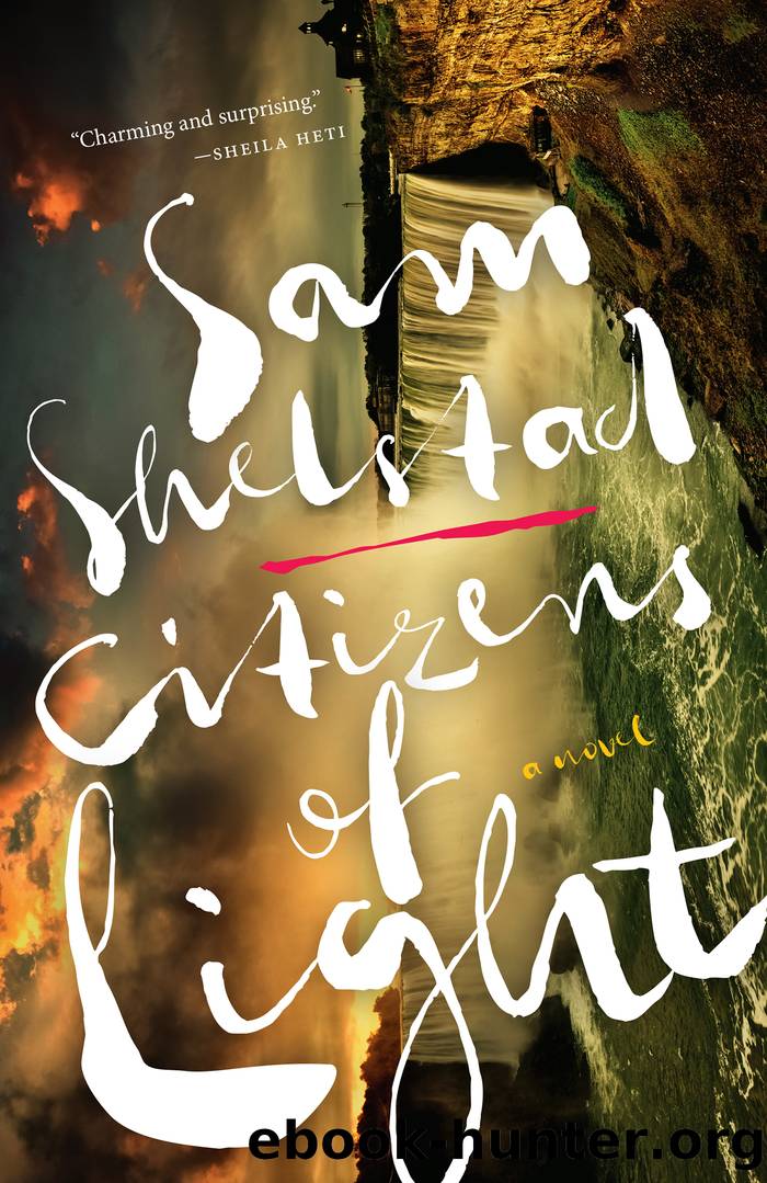 Citizens of Light by Sam Shelstad