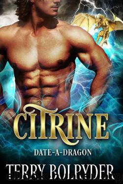 Citrine (Date-A-Dragon Book 4) by Terry Bolryder