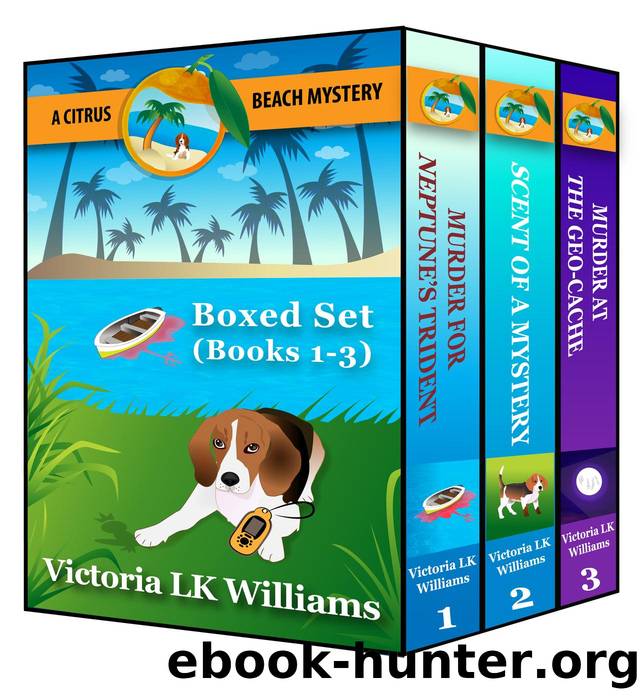 Citrus Beach Mystery: Box Set: Books 1,2,3 (Citrus Beach Mysteries) by Unknown