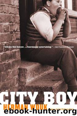 City Boy by Wouk Herman
