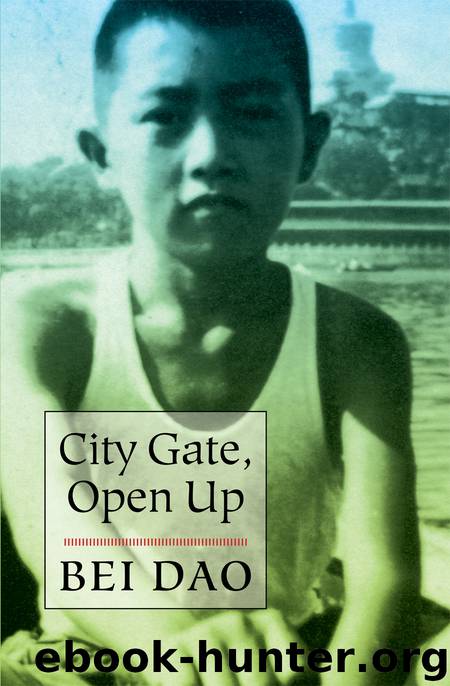 City Gate, Open Up by Bei Dao