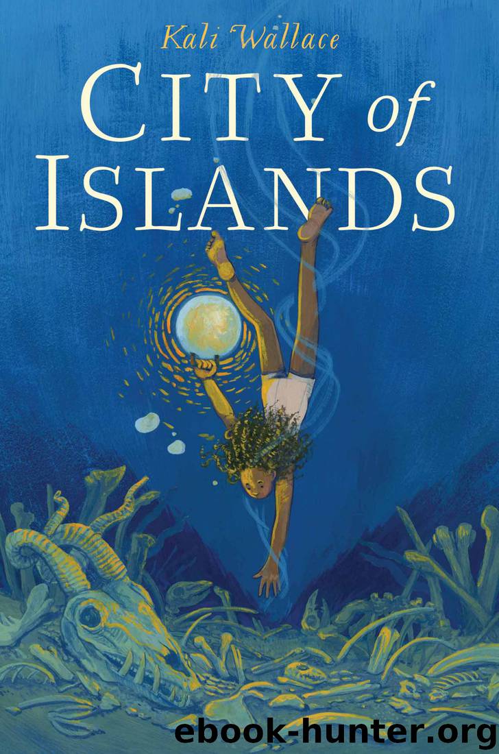 City of Islands by Kali Wallace