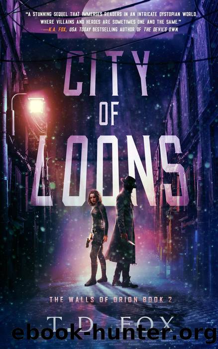 City of Loons by T.D. Fox