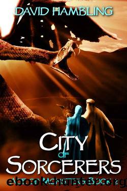 City of Sorcerers by David Hambling