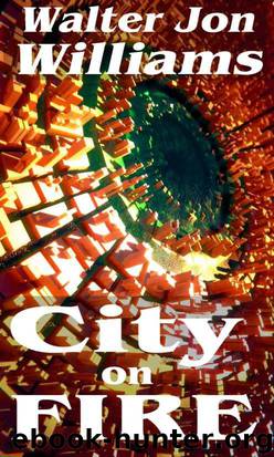 City on Fire (Metropolitan) by Williams Walter Jon