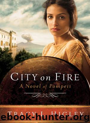 City on Fire by Tracy L. Higley