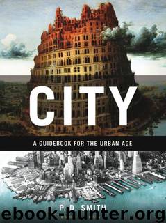City: A Guidebook for the Urban Age by P. D. Smith