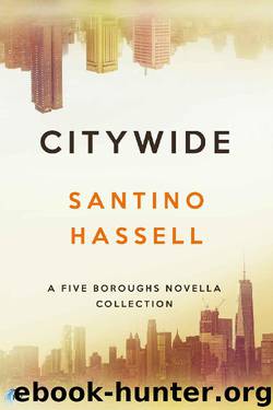 Citywide : A Five Boroughs Novella Collection by Santino Hassell