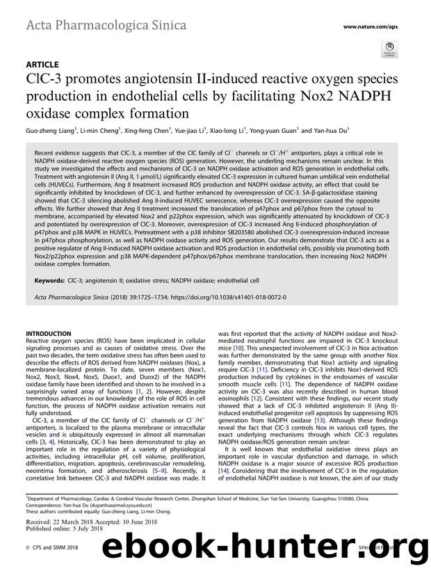ClC-3 promotes angiotensin II-induced reactive oxygen species production in endothelial cells by facilitating Nox2 NADPH oxidase complex formation by unknow