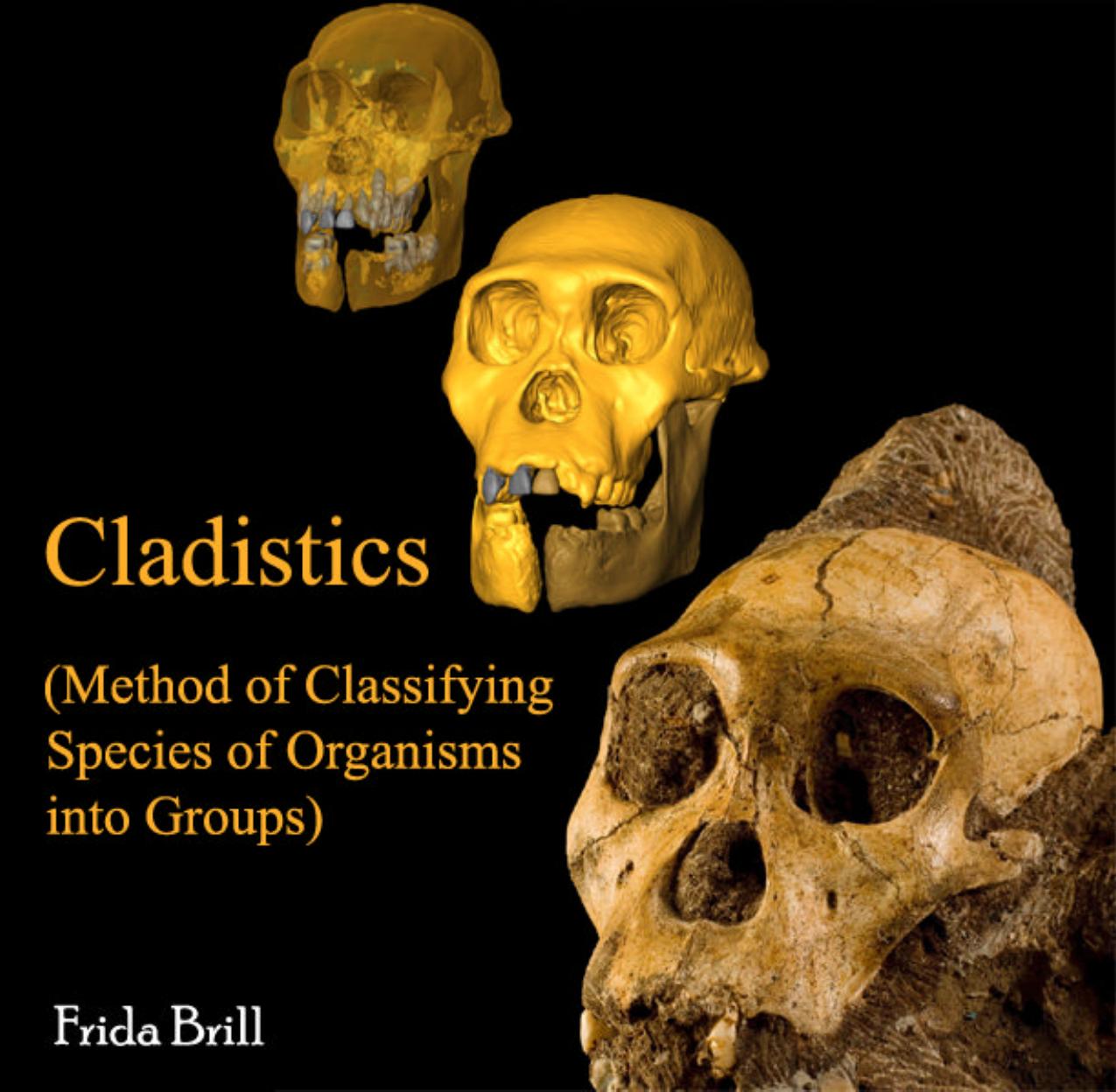 Cladistics (Method of Classifying Species into Groups) by Ethan Cochrane