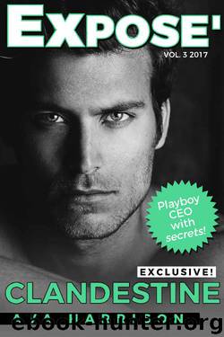 Clandestine by Ava Harrison