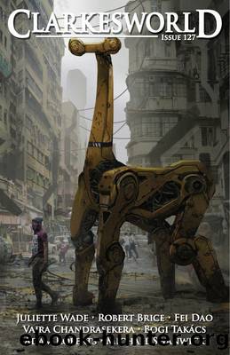 Clarkesworld Magazine Issue 127 by Neil Clarke