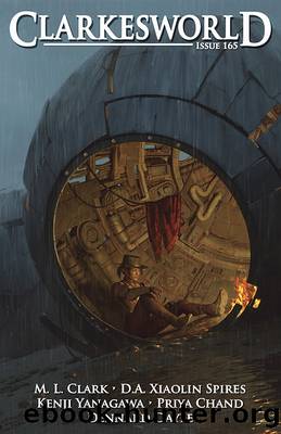Clarkesworld Magazine Issue 165 by Neil Clarke