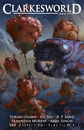 Clarkesworld Magazine Issue 197 by Neil Clarke