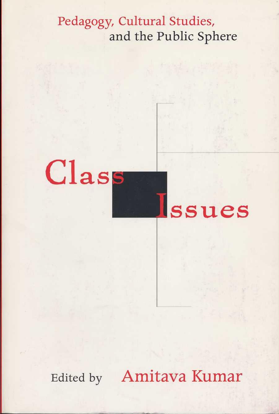 Class Issues: Pedagogy, Cultural Studies, and the Public Sphere by Amitava Kumar