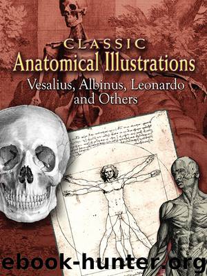 Classic Anatomical Illustrations by Vesalius & Albinus
