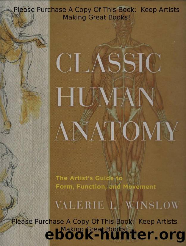 Classic Human Anatomy  The Artist's Guide to Form, Function, and Movement ( PDFDrive ) by Unknown
