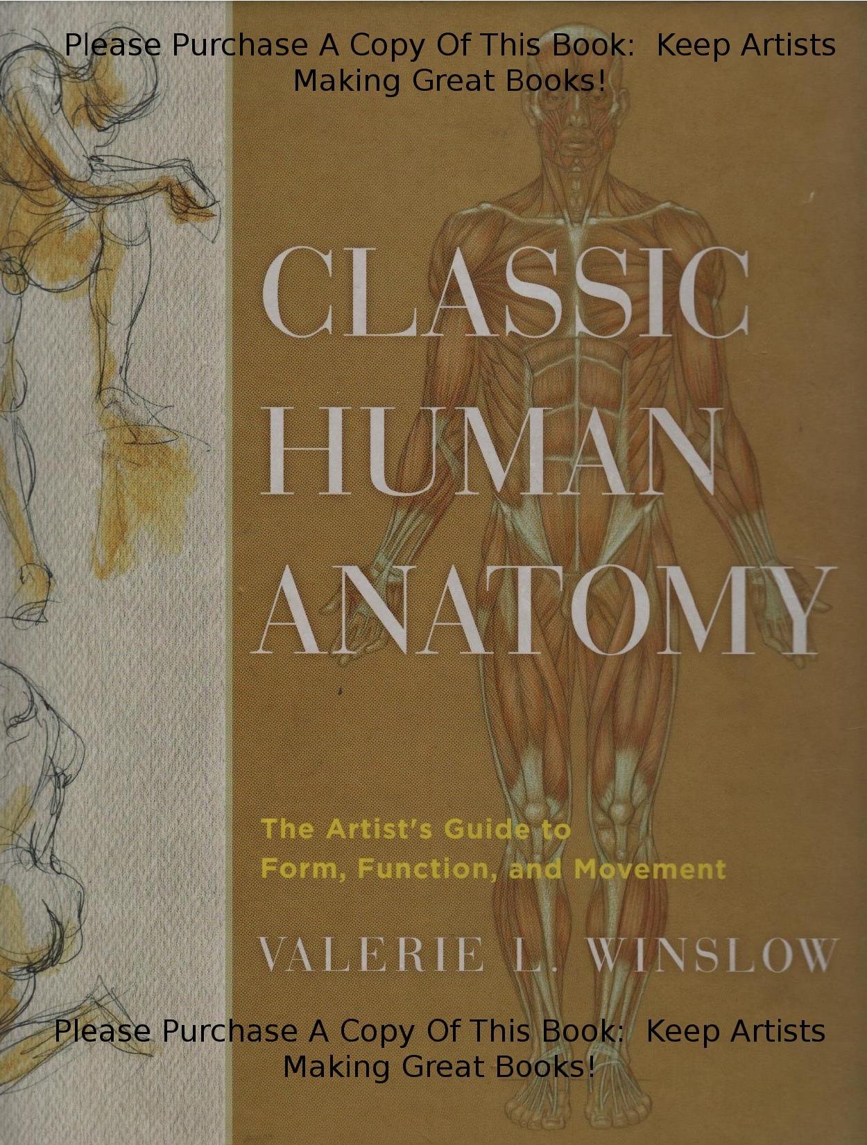 Classic Human Anatomy: The Artist's Guide to Form, Function, and Movement (Repost) by Valerie L. Winslow
