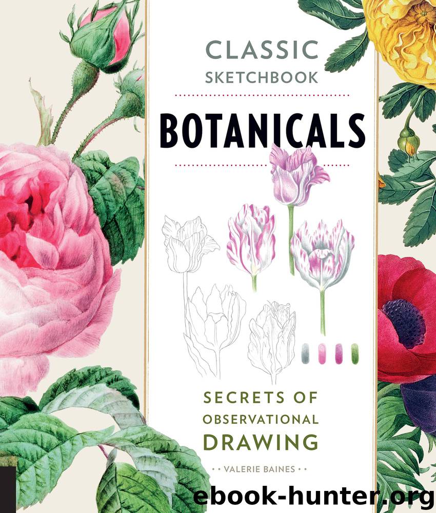 Classic Sketchbook: Botanicals by Valerie Baines