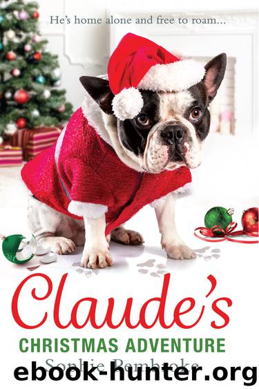 Claude's Christmas Adventure by Sophie Pembroke