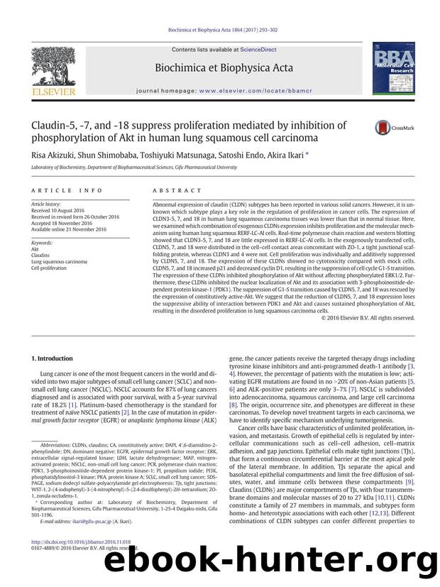 Claudin-5, -7, and -18 suppress proliferation mediated by inhibition of phosphorylation of Akt in human lung squamous cell carcinoma by Risa Akizuki & Shun Shimobaba & Toshiyuki Matsunaga & Satoshi Endo & Akira Ikari