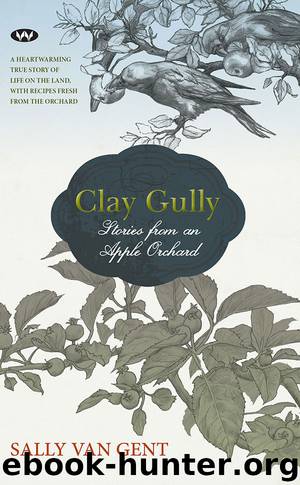 Clay Gully by Sally van Gent