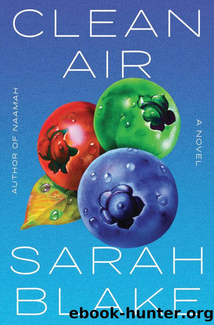 Clean Air by Sarah Blake